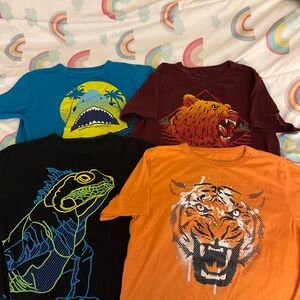 Children’s Place Boys Tshirt Lot